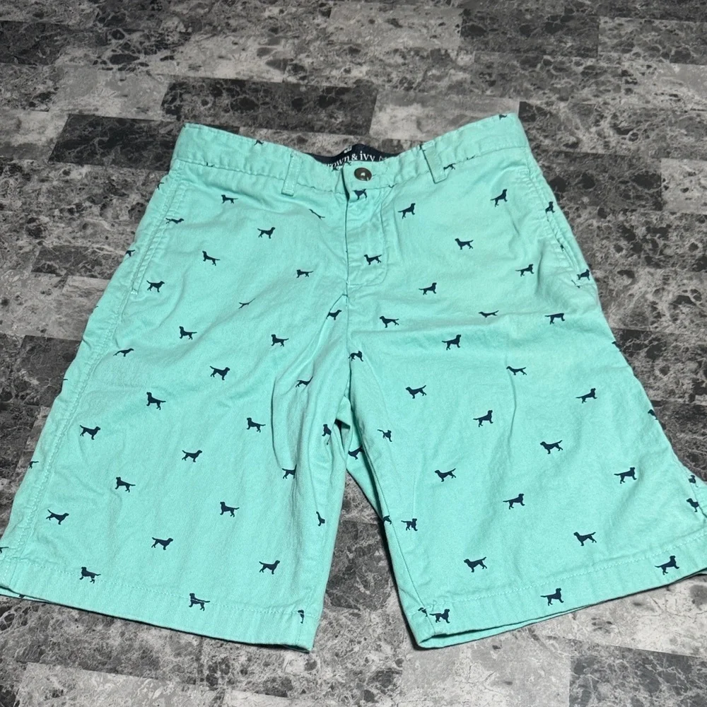 Crown & Ivy Mint Green Motion Flex Shorts